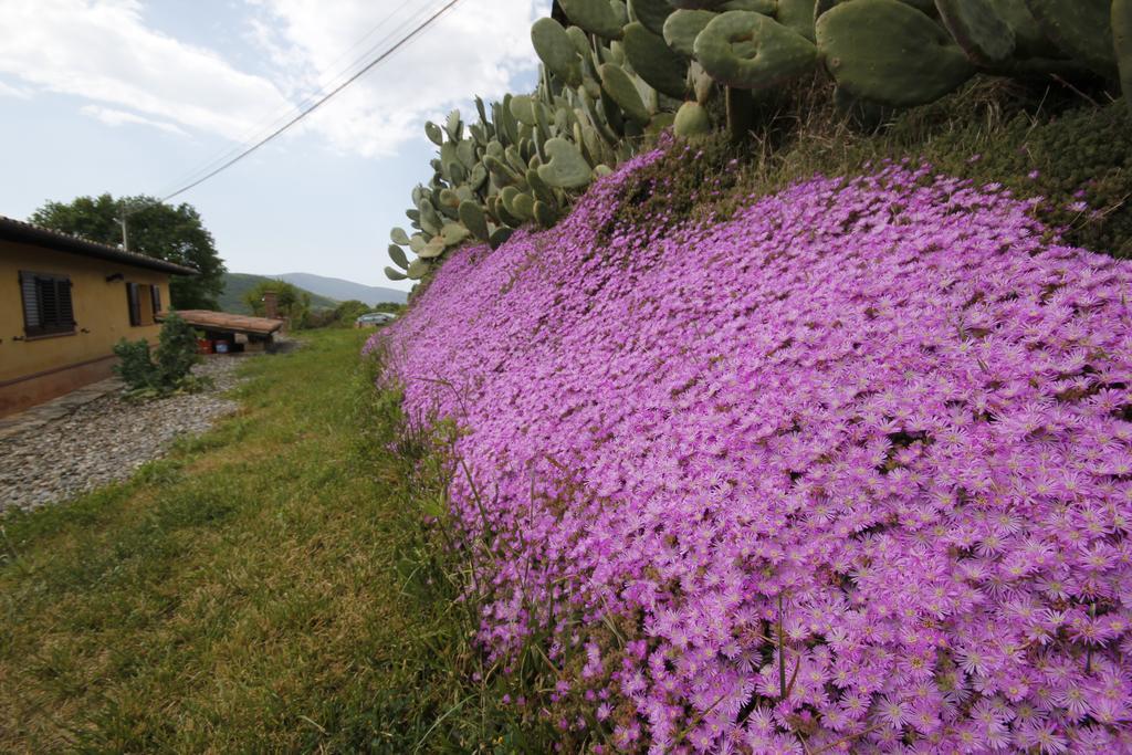 Agriturismo Cupido Montiano  Szoba fotó