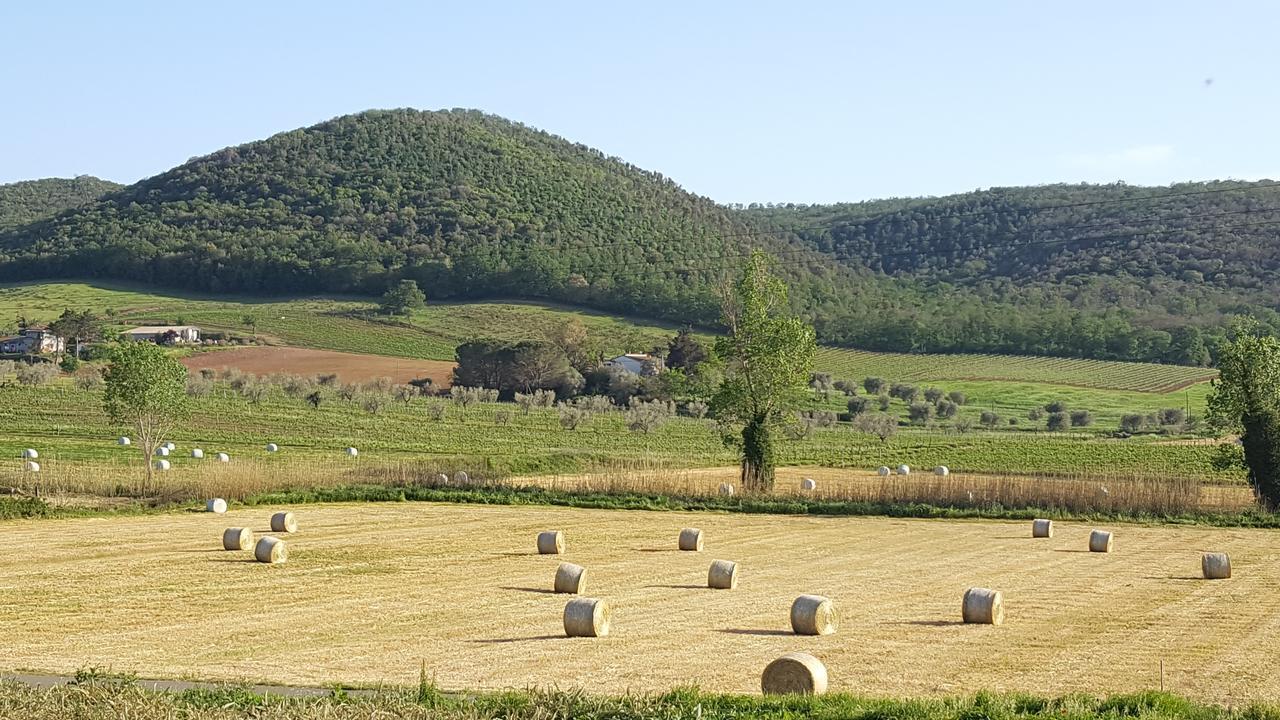 Agriturismo Cupido Montiano  Kültér fotó